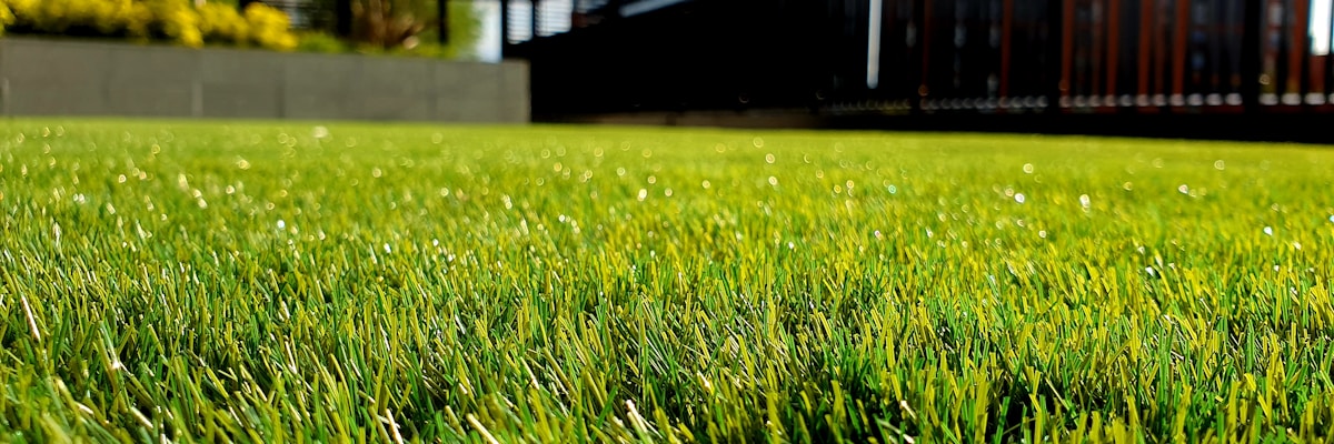 How to Sell a Landscaping Business in Dallas Fort Worth